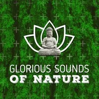 Glorious Sounds of Nature