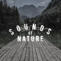 Sounds of Nature: Meditation
