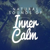 Natural Sounds for Inner Calm
