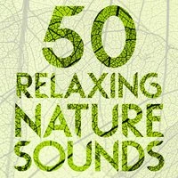 50 Relaxing Nature Sounds