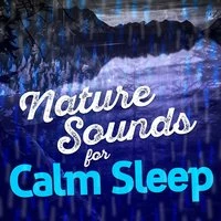 Nature Sounds for Calm Sleep