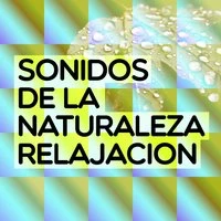 Sonidos de la Naturaleza Relajacion