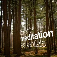 Forest Meditation Essentials