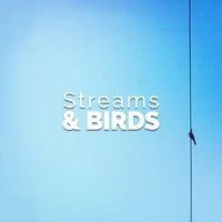 Streams & Birds