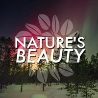 Nature's Beauty