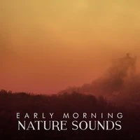 Early Morning Nature Sounds