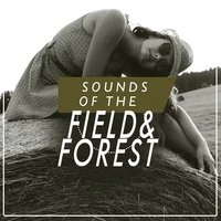 Sounds of the Field and Forest