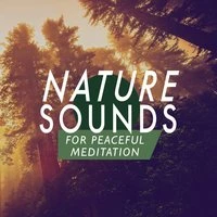 Nature Sounds for Peaceful Meditation
