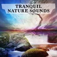 Tranquil Nature Sounds