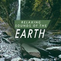 Relaxing Sounds of the Earth