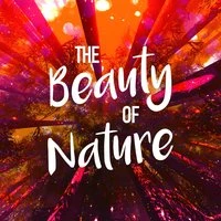 The Beauty of Nature