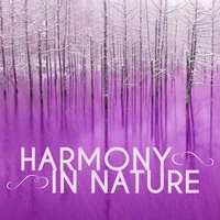 Harmony in Nature