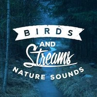 Birds and Streams - Nature Sounds