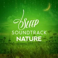 Sleep Soundtrack: Nature