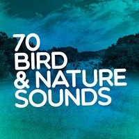 70 Bird & Nature Sounds: Spa Music, Natural Peace, Calming Sounds, Personal Peace, Introspection