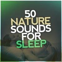 50 Nature Sounds for Sleep: New Age Relaxation, Natural Reflection, Calm, Spa & Massage, Zen