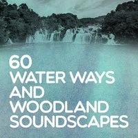 60 Water Ways and Woodland Soundscapes