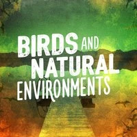 Birds and Natural Environments