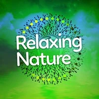Relaxing Nature: Peace of Mind, Calming Nature, Soothing Sleep, Mindfulness, Zen Spa