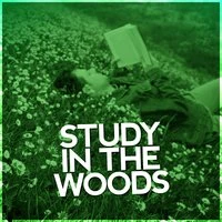 Study in the Woods