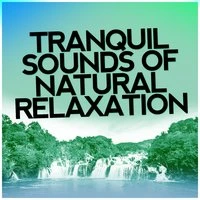 Tranquil Sounds of Natural Relaxation
