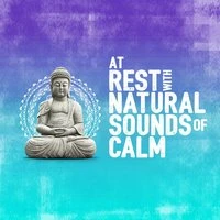 At Rest with Natural Sounds of Calm