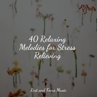 40 Relaxing Melodies for Stress Relieving