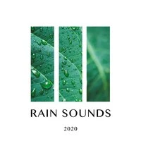 Rain Sounds 2020