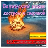 Балийский пляж с костром и сверчков: звуки природы: специальное издание