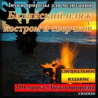 Звуки природы для медитации: Балийский пляж с костром и сверчков: специальное издание