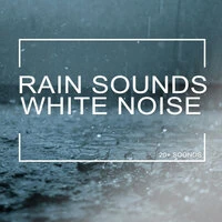 Rain Sounds & White Noise