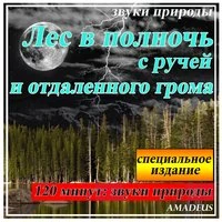 Лес в полночь с ручей и отдаленного грома: звуки природы: специальное издание