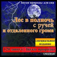 Звуки природы для сна: Лес в полночь с ручей и отдаленного грома: специальное издание
