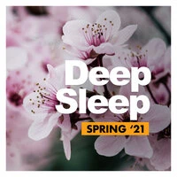 Deep Sleep