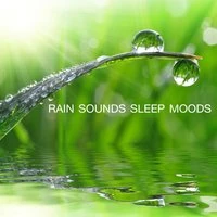 Rain Sounds - Sleep Moods