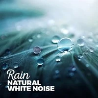 Rain: Natural White Noise