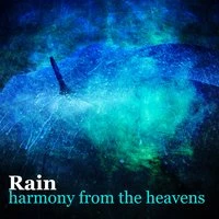 Rain: Harmony from the Heavens