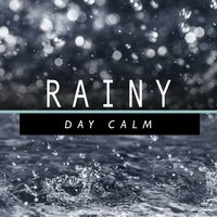 Rainy Day Calm