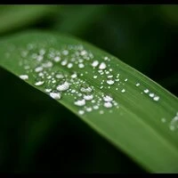 Rain Sounds Playlist: A Rainy Cityscape