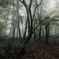 Summer Blissful Summer Rain Sounds for Relaxation & Meditation