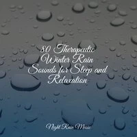 80 Therapeutic Winter Rain Sounds for Sleep and Relaxation