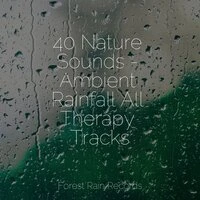 40 Nature Sounds - Ambient Rainfall All Therapy Tracks