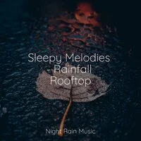 Sleepy Melodies - Rainfall Rooftop