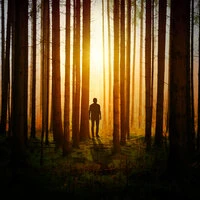 25 Vitalizing Rain Droplet Songs for Meditation