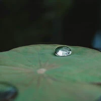 25 Natural Rain & Nature Sounds for Sleep