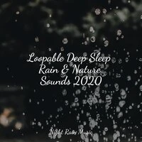 Loopable Deep Sleep Rain & Nature Sounds 2020