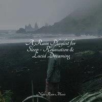 A Rain Playlist for Sleep - Relaxation & Lucid Dreaming