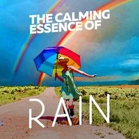 The Calming Essence of Rain