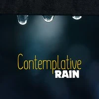 Contemplative Rain