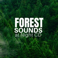 Forest Sounds at Night CD